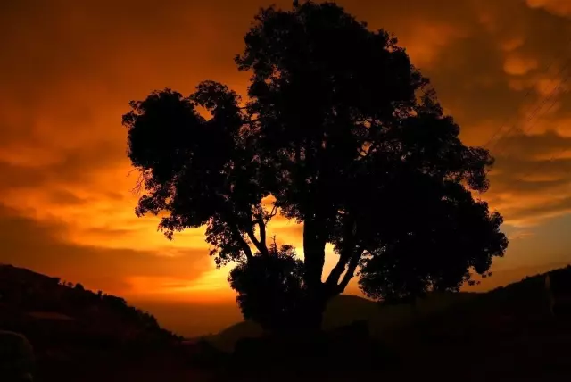 Türkiye'de ender görülen memeli bulutlar Hatay'da görüntülendi