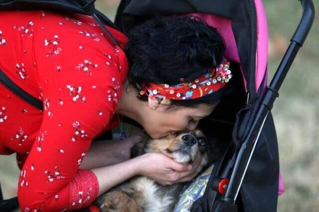 Bursa'da bir kadın, bebek arabasıyla her gün köpeğini gezintiye çıkarıyor Bursa'da bir kadın, bebek arabasıyla her gün köpeğini gezintiye çıkarıyor