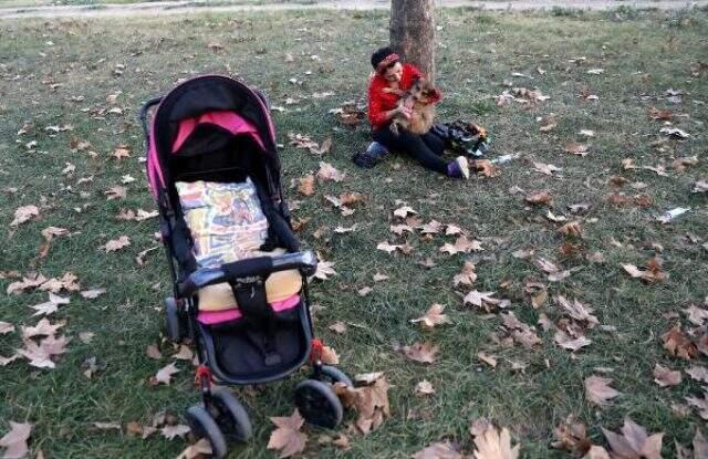 Bursa'da bir kadın, bebek arabasıyla her gün köpeğini gezintiye çıkarıyor Bursa'da bir kadın, bebek arabasıyla her gün köpeğini gezintiye çıkarıyor