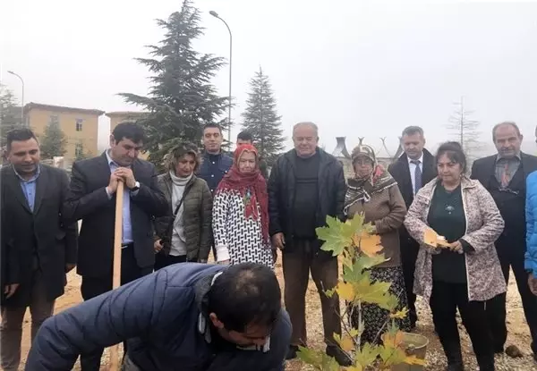 Sanatçıların köyünde, Yıldız Kenter için çınar fidanı dikildi