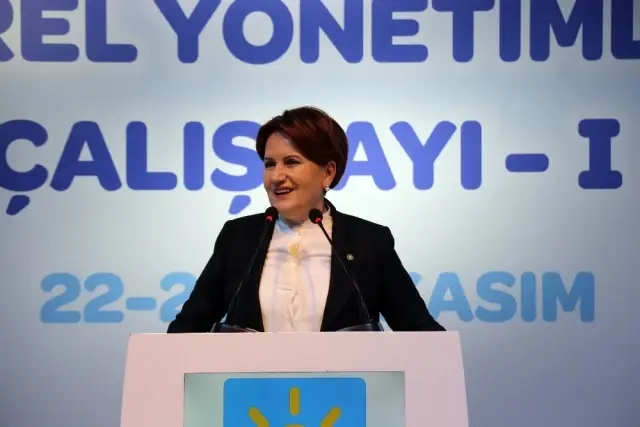 Meral Akşener, İYİ Parti'nin kuruluş sürecini anlattı: Ev temizlemekten yoruldum, polisler gelirse ayıp olmasın diye