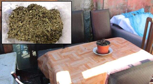 Ete baharat yerine bonzai karıştırarak ölüme neden olan kadın beraat etti