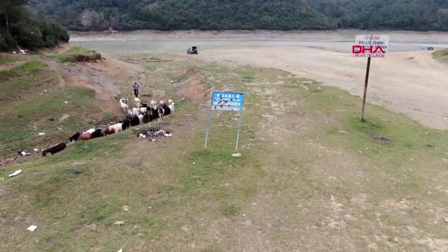 İstanbul barajları alarm veriyor! Doluluk son 10 yılın en düşük 2'nci seviyesinde