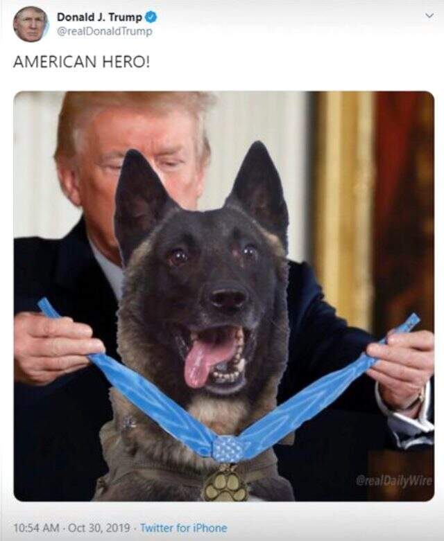 Trump, Bağdadi operasyonunda yaralanan köpeğe plaket ve madalya verdi Trump, Bağdadi operasyonunda yaralanan köpeğe plaket ve madalya verdi