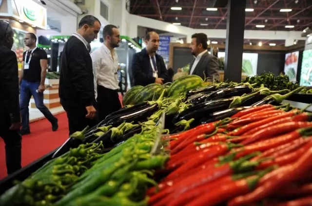 Dünyanın en büyük seracılık fuarı Antalya'da başladı