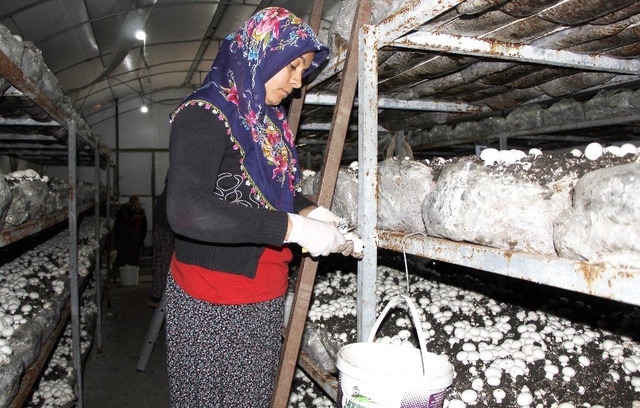Gelin-kaynana kendi işlerinin patronu oldu