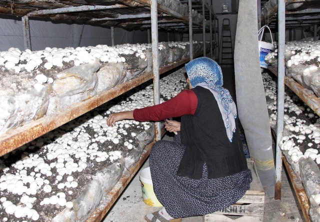Gelin-kaynana kendi işlerinin patronu oldu