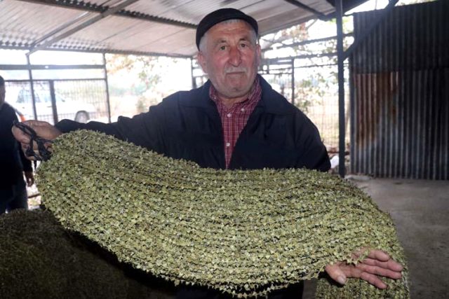 Dalında 15 lira olan bamya, kurutulduktan sonra 200 liraya satılıyor