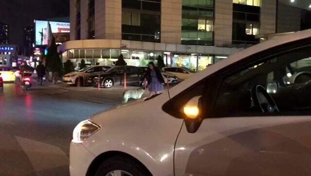 Yaya geçidinde bekleyen köpeği trafiği durdurup yolun karşısına geçen kadın sürücü kamerada Kadın sürücüden örnek hareket! Trafiği durdurup köpeği yolun karşısına geçirdi