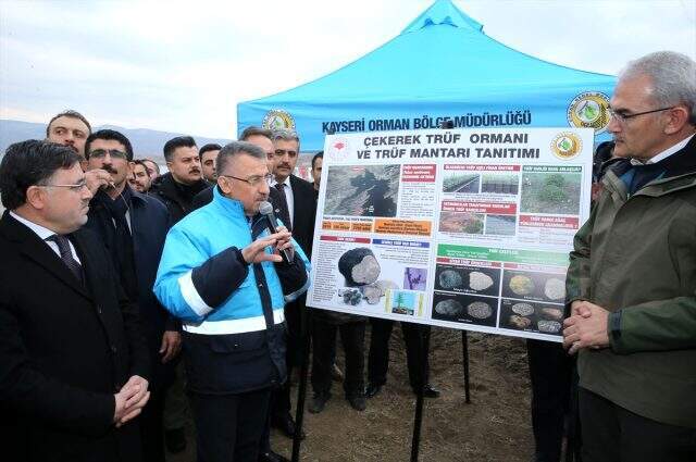 Cumhurbaşkanı Yardımcısı Fuat Oktay: Trüf mantarını üretenlere yüzde 65'e kadar teşvik verilecek Cumhurbaşkanı Yardımcısı Fuat Oktay: Trüf mantarını üretenlere yüzde 65'e kadar teşvik verilecek