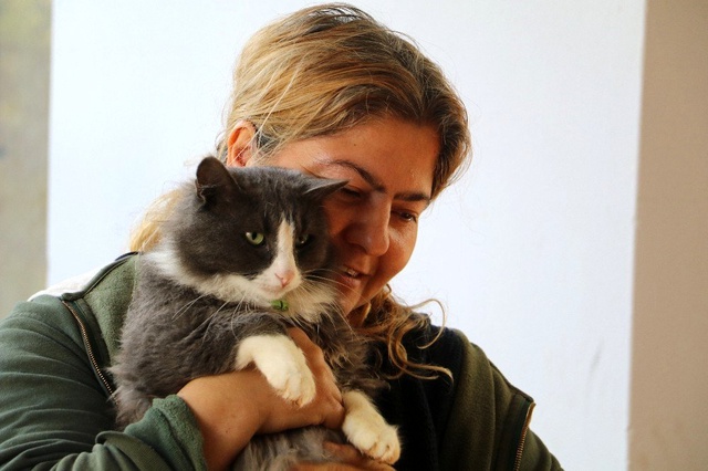 Kadın otobüs şoförü kedileri için görevinden istifa etti