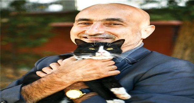 Kediler Türkiye'nin çimentosudur