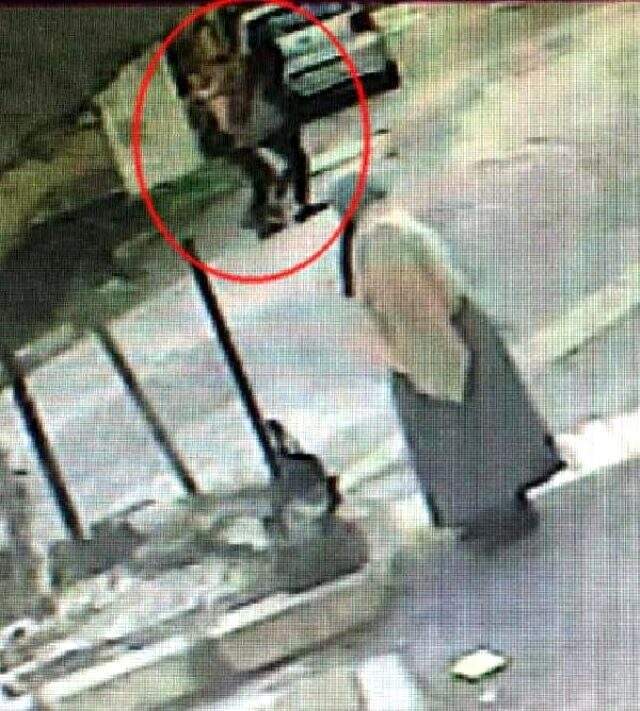 Eşi tarafından öldürülen kadının son anları kameraya yansıdı Eşi tarafından öldürülen kadının son anları kameraya yansıdı