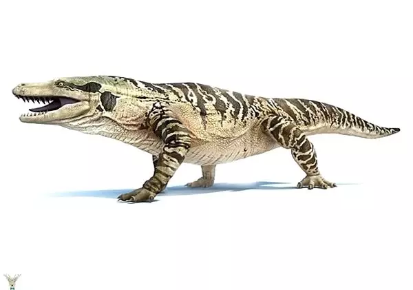 Aynı Dönemde Yaşamadığınıza Şükredeceğiniz 25 Tarih Öncesi Canavar