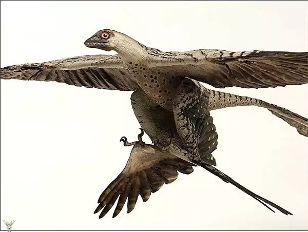 Aynı Dönemde Yaşamadığınıza Şükredeceğiniz 25 Tarih Öncesi Canavar