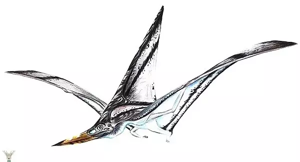 Aynı Dönemde Yaşamadığınıza Şükredeceğiniz 25 Tarih Öncesi Canavar