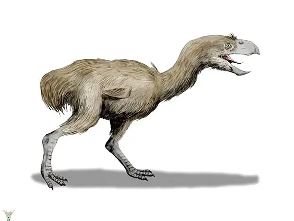 Aynı Dönemde Yaşamadığınıza Şükredeceğiniz 25 Tarih Öncesi Canavar