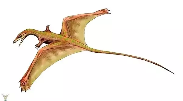 Aynı Dönemde Yaşamadığınıza Şükredeceğiniz 25 Tarih Öncesi Canavar