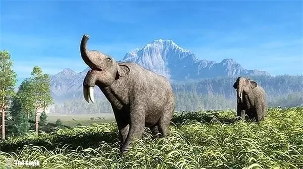 Aynı Dönemde Yaşamadığınıza Şükredeceğiniz 25 Tarih Öncesi Canavar