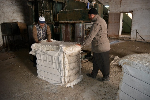 Ürettiği pamuk için fabrika kurdu şimdi bölgenin pamuğunu işliyor