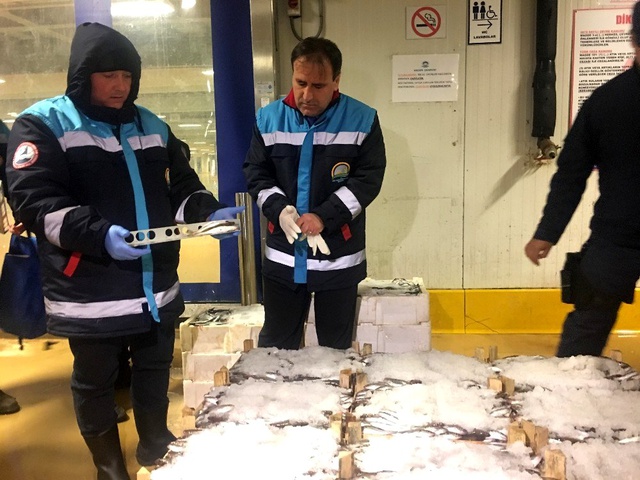 Balık denetiminde 13 ton balığa el konuldu