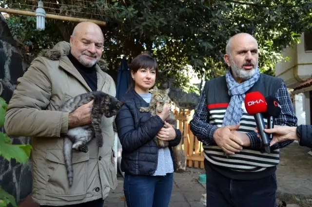 Kedileri ciğerle zehirlenen Rus kadın isyan etti: Pazartesi günü çok korkunç şeyler oldu