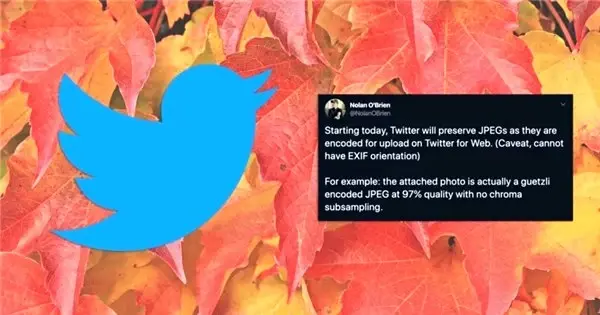Twitter'ın Yeni Resim Düzenlemesi