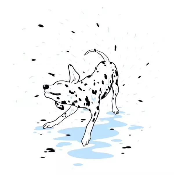 İllüstrasyonlarla Hayvanların Gizemli Dünyasını Açığa Çıkaran Sanatçı ile Tanışın