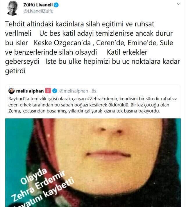 Zülfü Livaneli'den kadın cinayetlerine sert tepki: Üç beş tane katil erkek geberseydi