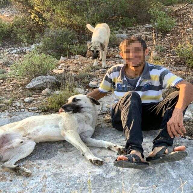 Bıçakla 6 saat rehin aldığı eşinin kafasını demir korkuluklara vurdu, duruşmada tanık polis memuru hepsini anlattı Bıçakla 6 saat rehin aldığı eşinin kafasını demir korkuluklara vurdu, duruşmada tanık polis memuru hepsini anlattı