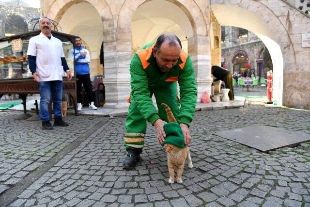 Belediye çalışanının kafasındaki bereyi üşüyen kediye takması sosyal medyada gündem oldu