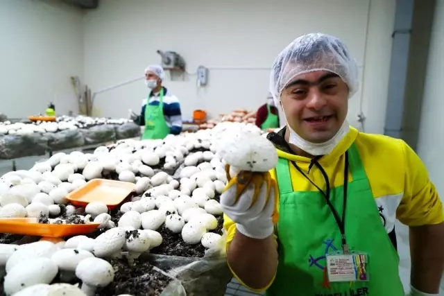 Bağcılar'da engelliler için kurulan mantar üretim atölyesi, fabrika gibi çalışıyor