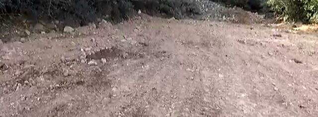Büyükada'da 81 atın itlaf edildiği çukurlar ilk kez bu kadar yakından görüntülendi Büyükada'da 81 atın itlaf edildiği çukurlar ilk kez bu kadar yakından görüntülendi