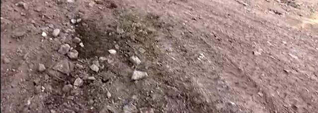 Büyükada'da 81 atın itlaf edildiği çukurlar ilk kez bu kadar yakından görüntülendi Büyükada'da 81 atın itlaf edildiği çukurlar ilk kez bu kadar yakından görüntülendi