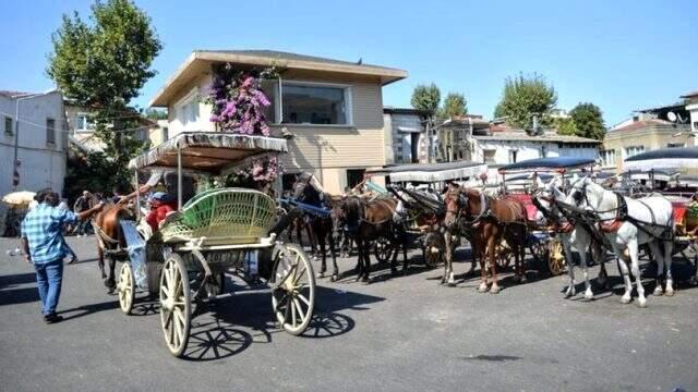 At vebası nedeniyle gelen yasağa isyan eden faytoncular, yılda 300 bin TL kazanıyor