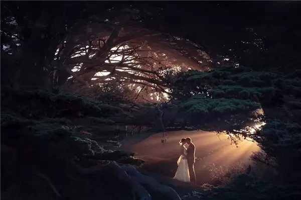 Dünyadan 2019'un En İyi Düğün Fotoğrafları