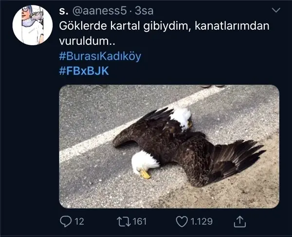Fenerbahçe Beşiktaş Derbi Geyikleri