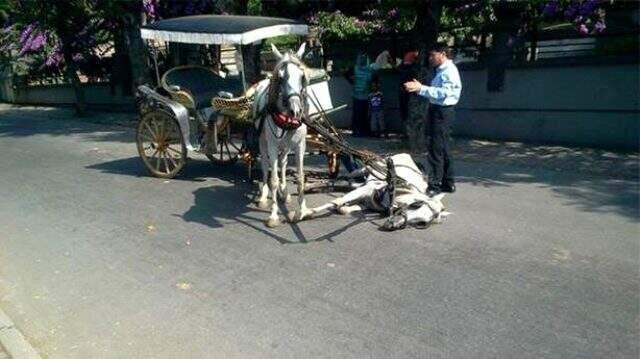 Adalar'da ruam salgını sonrası otel rezervasyonları düştü