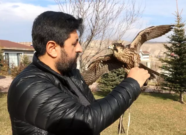 Bir otomobil parasına aldığı doğanı bakanlık izni ile Türkiye'ye getirdi