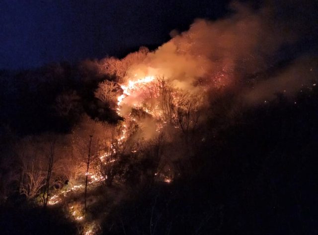 Karadeniz alev alev yanıyor! 4 ilde 26 farklı noktada orman yangını