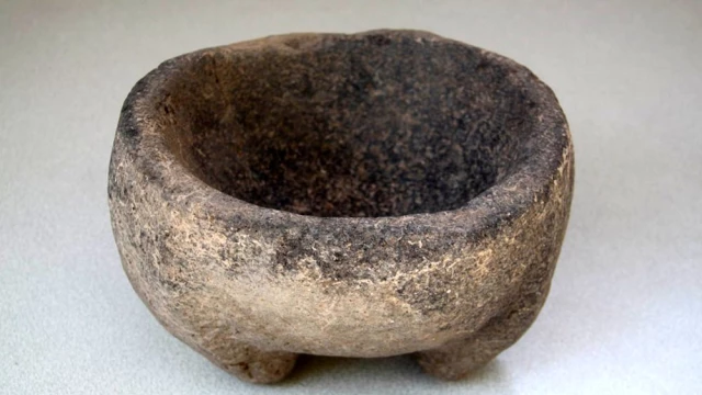 Kilis'te 4 bin yıl öncesine ait zeytin çekirdeği bulundu