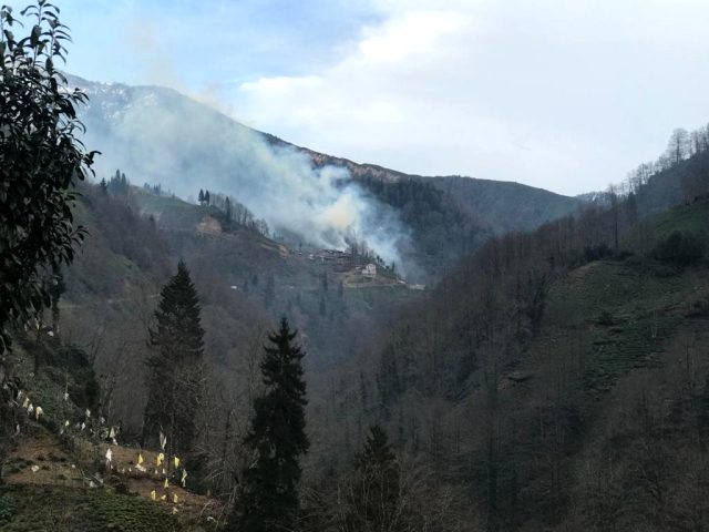 Trabzon'da 6 ilçedeki 8 noktada örtü yangınları devam ediyor! Rize'ye de sıçradı