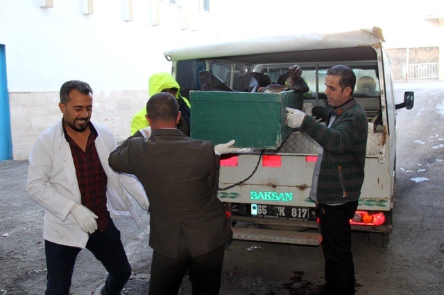 İran sınırında yürek yakan olay! Donarak yaşamını yitirdi