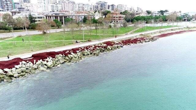 İstanbul'da sahil kesimi kızıl renge büründü İstanbul'da sahil kesimi kızıl renge büründü