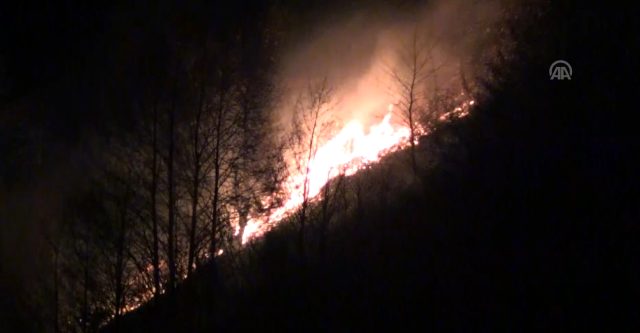 Karadeniz 3 gündür yanıyor! Trabzon ve Rize'de yeni orman yangınları çıktı
