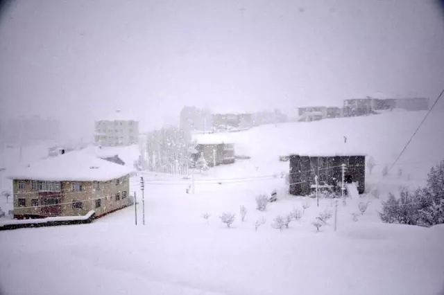 Yüksekova kara gömüldü! İlçede okullar tatil edildi