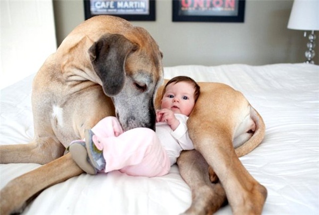Çocuk Sahibi Olanların İyi Bildiği 23 Muhteşem An