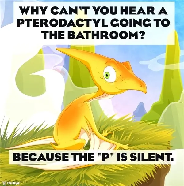 Sizi İngilizce Öğrendiğiniz Güne Lanet Ettirecek 20 Soğuk Espri