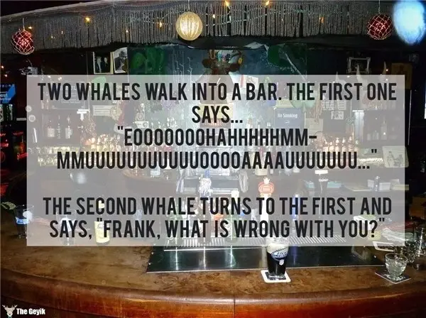 Sizi İngilizce Öğrendiğiniz Güne Lanet Ettirecek 20 Soğuk Espri