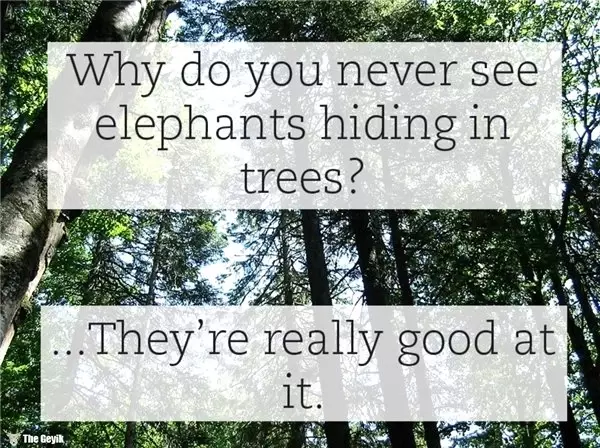 Sizi İngilizce Öğrendiğiniz Güne Lanet Ettirecek 20 Soğuk Espri